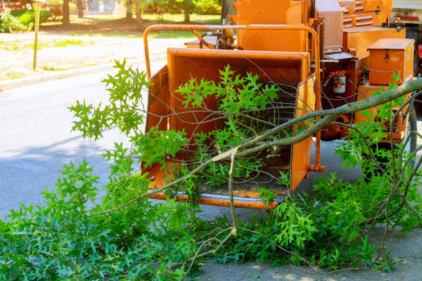 Best Affordable Tree Cutting  in Ponderay, ID